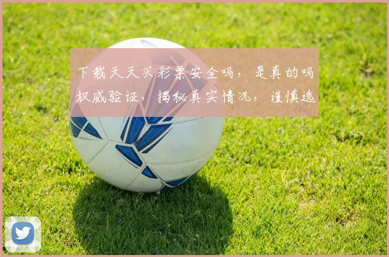 下载天天买彩票安全吗，是真的吗权威验证，揭秘真实情况，谨慎选择